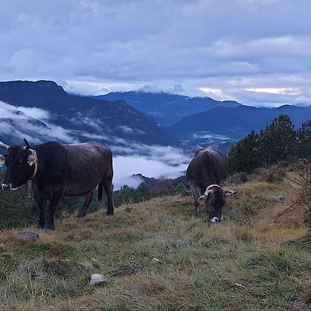 Precioso Apartamento En El Pirineo Catalan Ла-Побла-де-Лильет Экстерьер фото