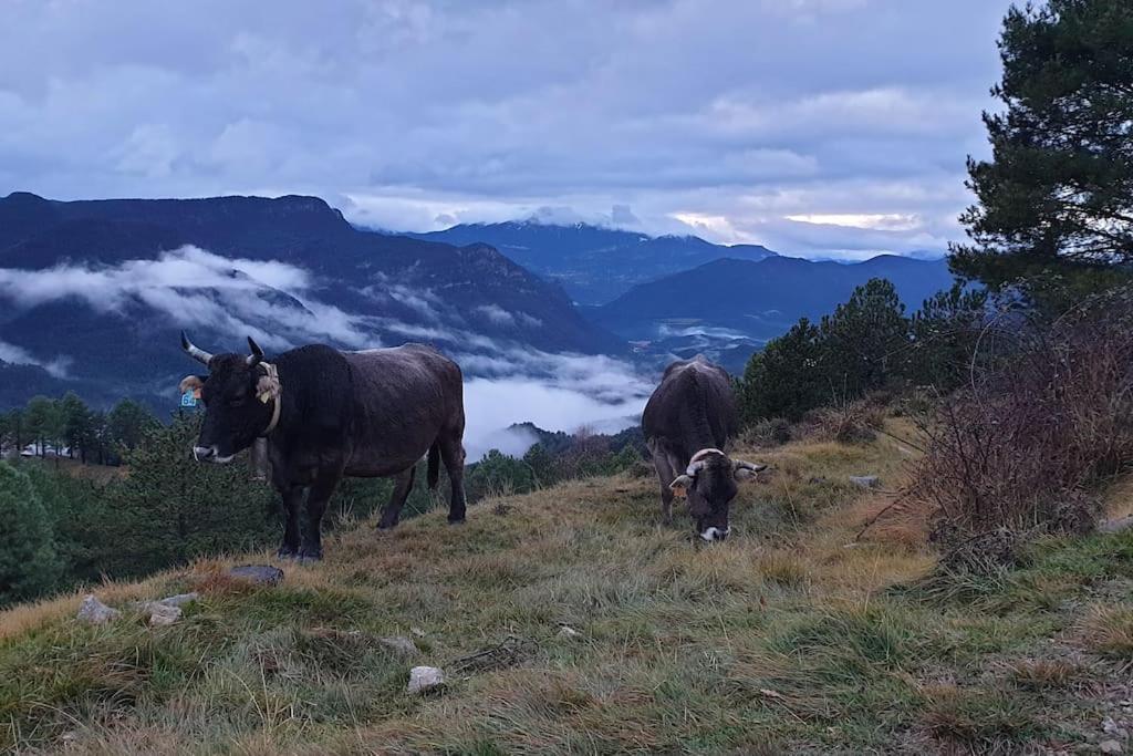 Precioso Apartamento En El Pirineo Catalan Ла-Побла-де-Лильет Экстерьер фото